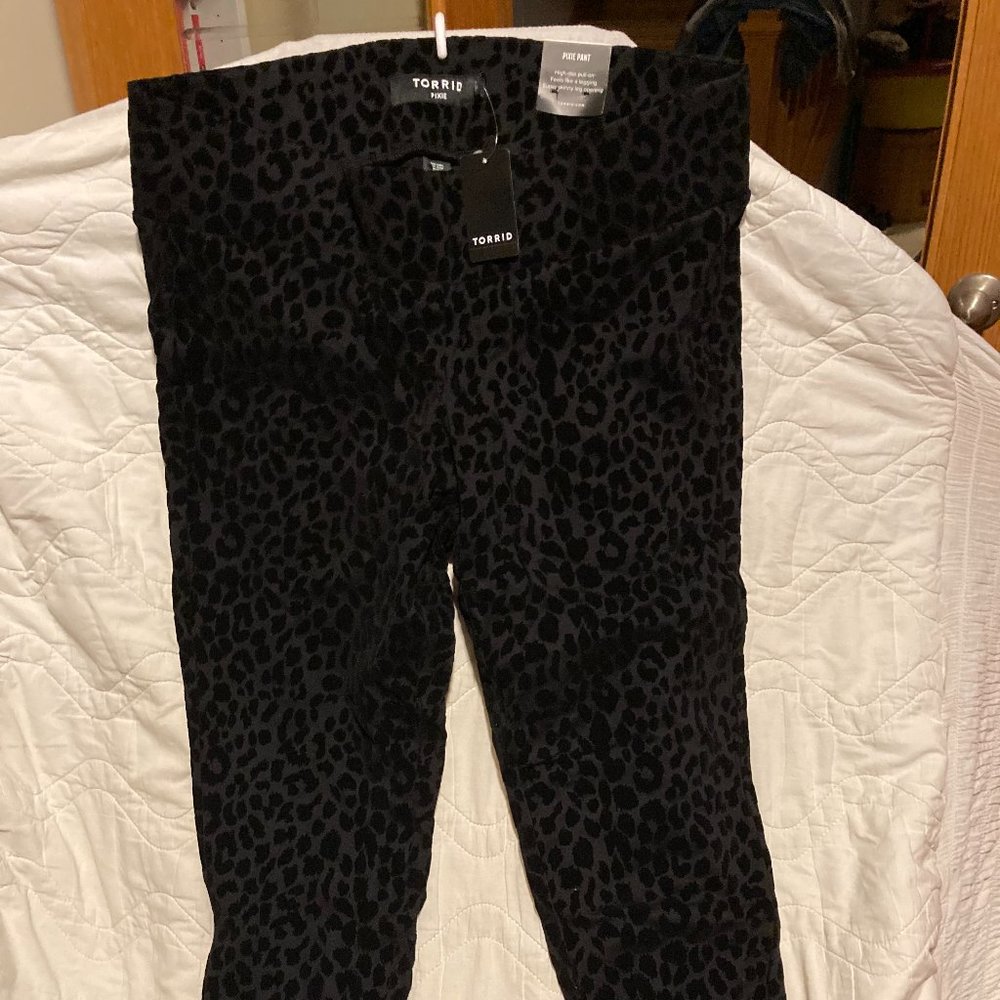 NEW Torrid Pixie Pants